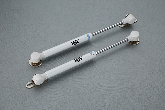 KGS-01